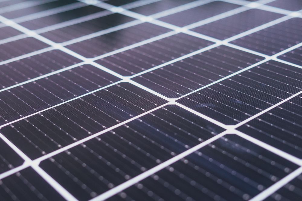 Pannello fotovoltaico sporco di polvere e guano